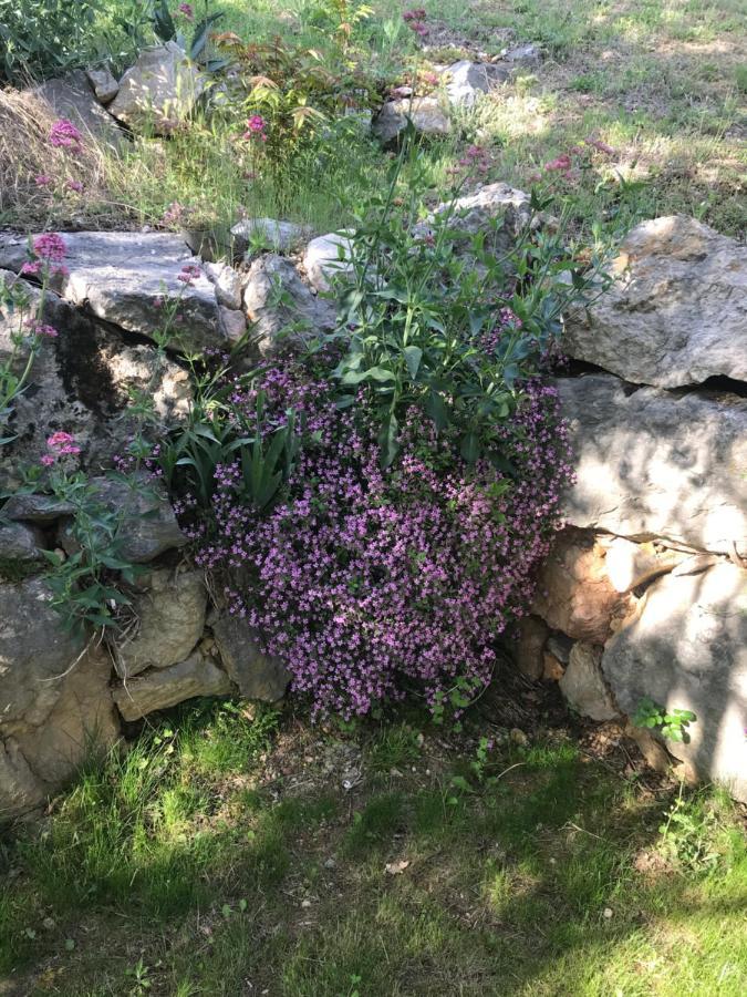 La Casa di Franco Villa Rivoli Veronese Esterno foto